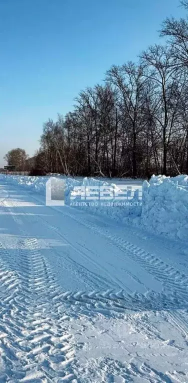 Участок в Московская область, Чехов муниципальный округ, д. Ходаево  ... - Фото 2