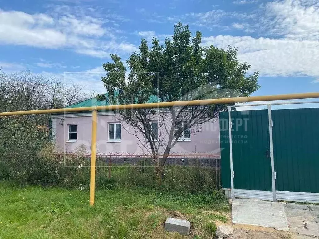 Дом в Воронежская область, с. Новая Усмань ул. Луговая, 61 (60 м) - Фото 1