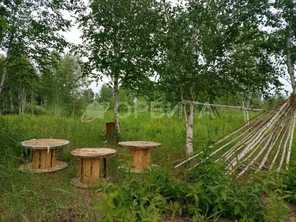 Участок в Тюменская область, Нижнетавдинский район, Строитель ТСН 786 ... - Фото 0