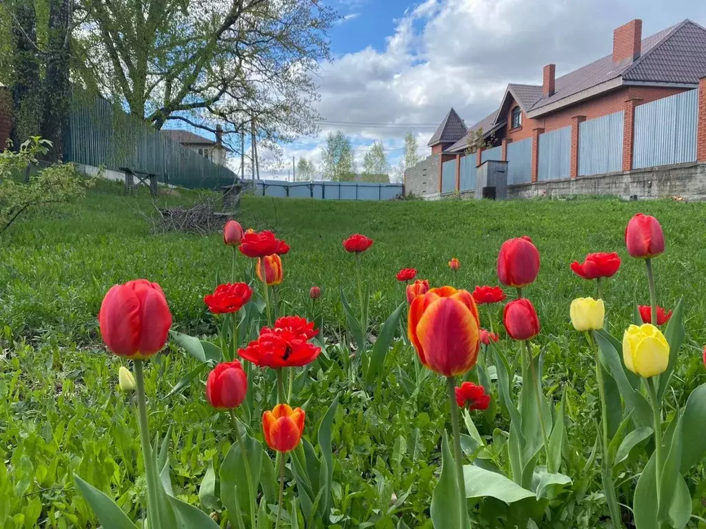 Участок в Московская область, Богородский городской округ, с. ... - Фото 1