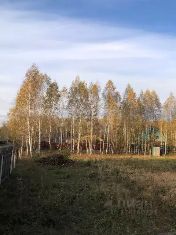 Участок в Курганская область, Кетовский муниципальный округ, д. Лукино ... - Фото 1