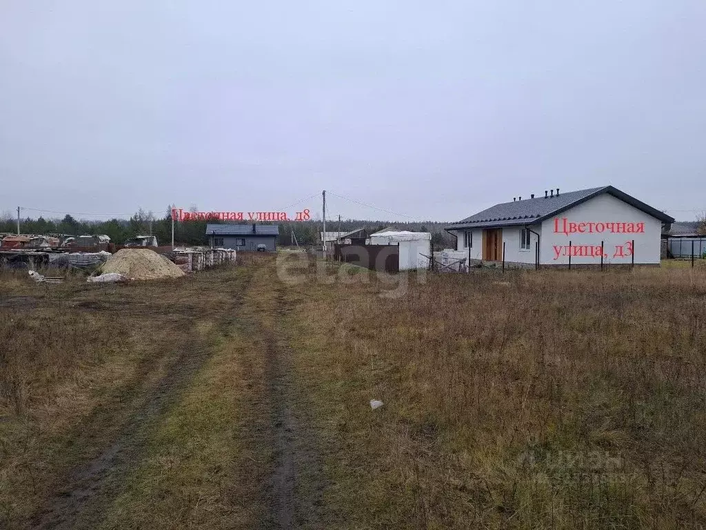 Участок в Воронежская область, Верхнехавский район, Углянское с/пос, ... - Фото 1