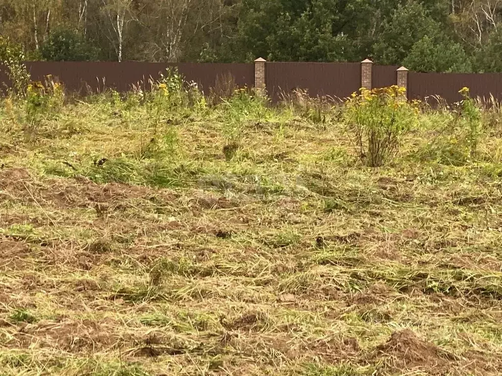 Участок в Калужская область, Боровский муниципальный округ, Кривское ... - Фото 2
