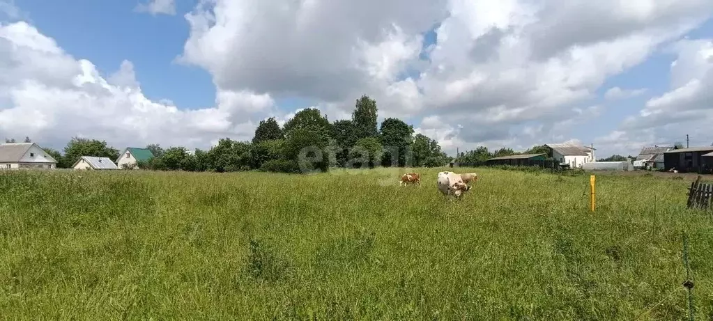 Участок в Смоленская область, Смоленский муниципальный округ, д. ... - Фото 1