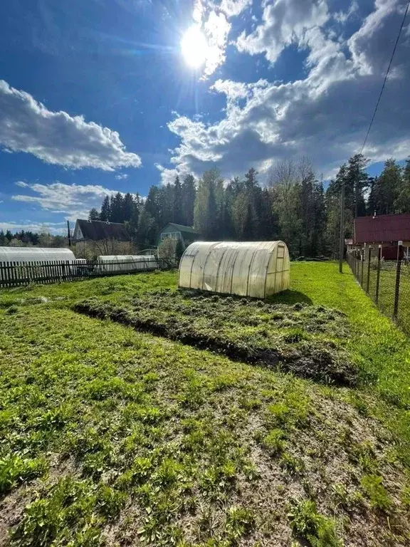 Участок в Ленинградская область, Выборг Подсобное СНТ, ул. 1-я ... - Фото 1