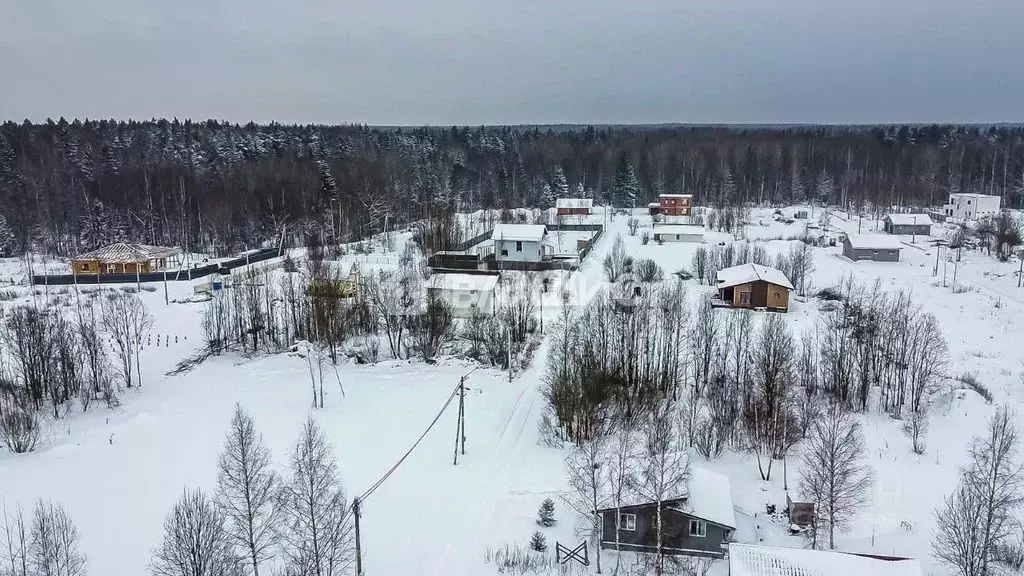 Участок в Ленинградская область, Ломоносовский район, Пениковское ... - Фото 1