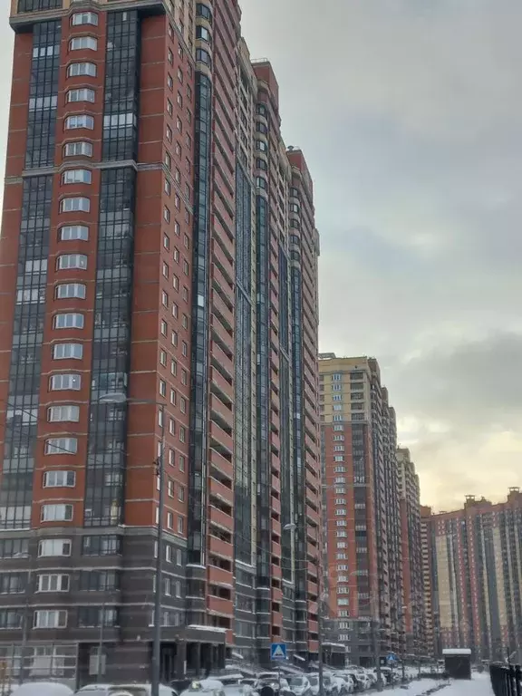 Студия Санкт-Петербург пос. Парголово, проезд Толубеевский, 24 (21.0 ... - Фото 1