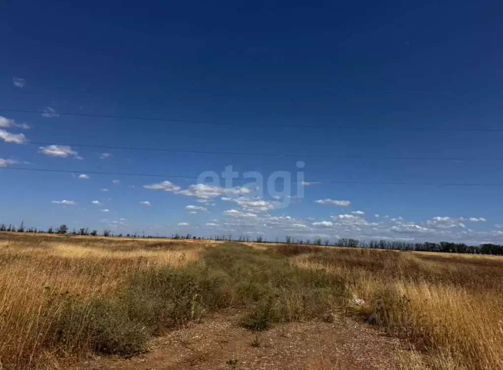 Участок в Крым, Симферопольский район, Николаевское с/пос, с. ... - Фото 1