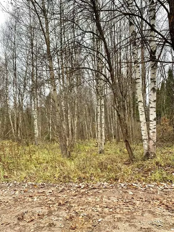 Участок в Ярославская область, Переславль-Залесский городской округ, ... - Фото 0