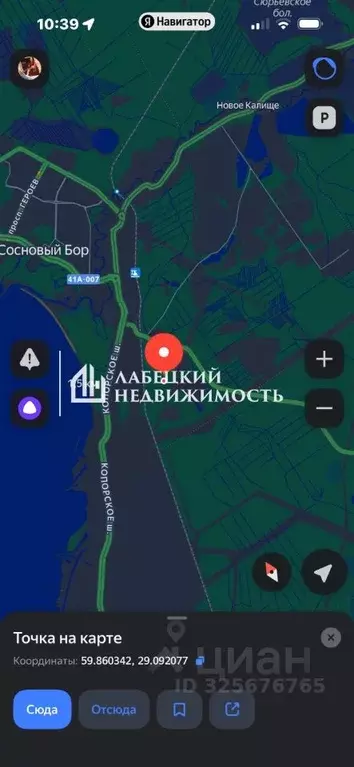 Участок в Ленинградская область, Сосновый Бор  (8.0 сот.) - Фото 1