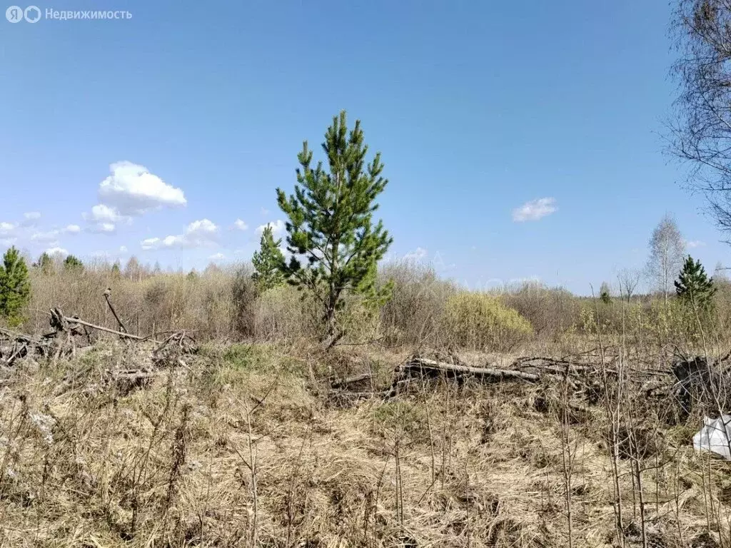 Участок в Нижнетавдинский район, садоводческое некоммерческое ... - Фото 0