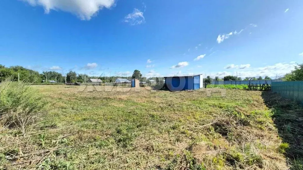 Участок в Новосибирская область, Ордынский район, с. Верх-Ирмень ... - Фото 2