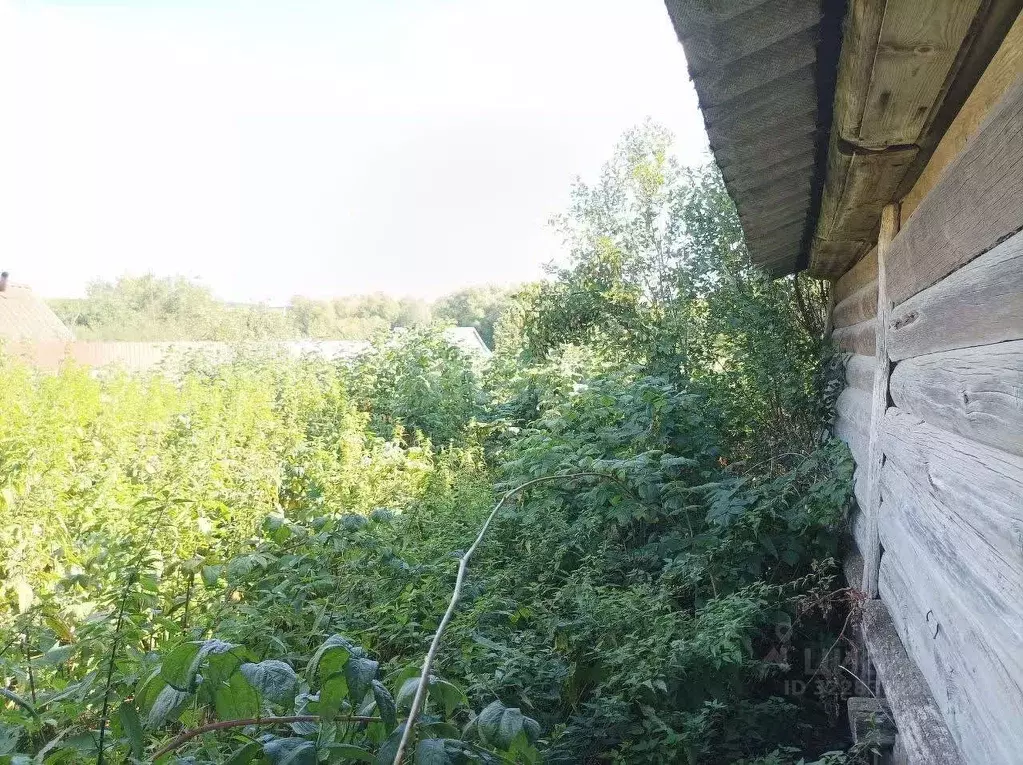 Участок в Мордовия, Дубенский район, с. Петровка  (42.0 сот.) - Фото 1