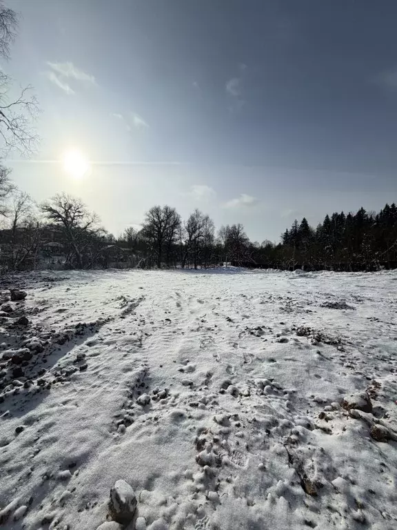 Участок в Москва д. Бурцево, ул. Зеленая (15.0 сот.) - Фото 2