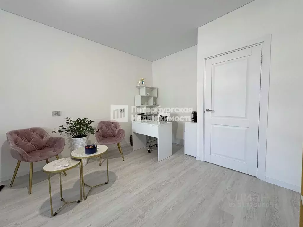 Студия Санкт-Петербург просп. Ветеранов, 214 (27.9 м) - Фото 0