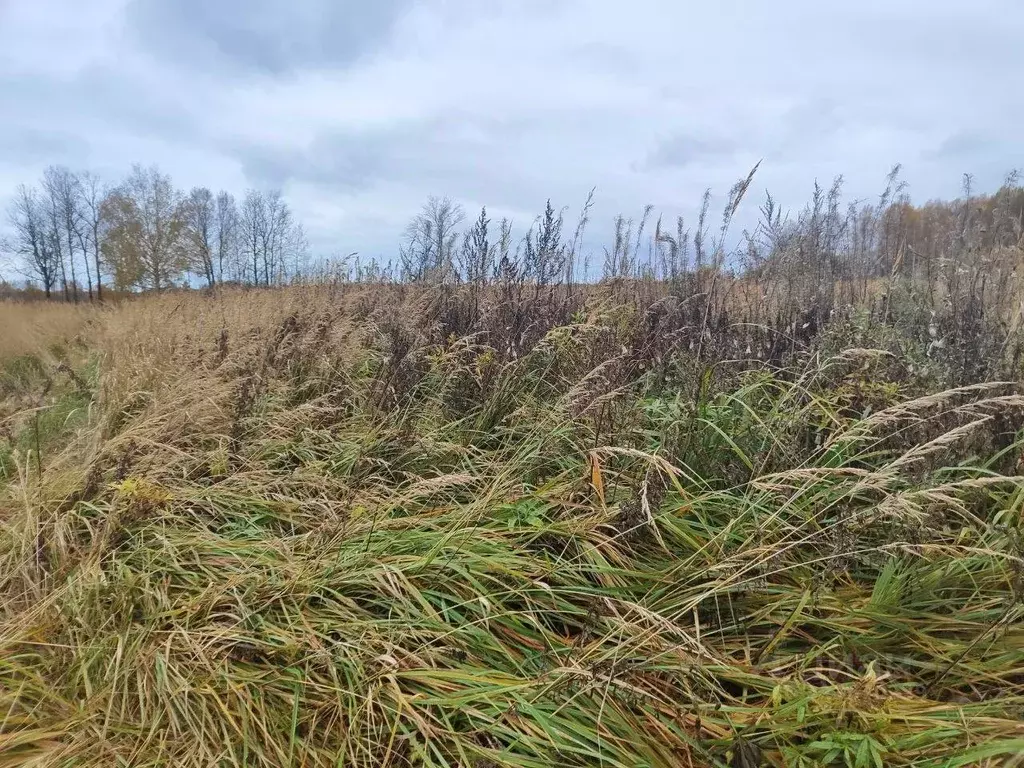 Участок в Московская область, Лотошино муниципальный округ, пос. ... - Фото 1