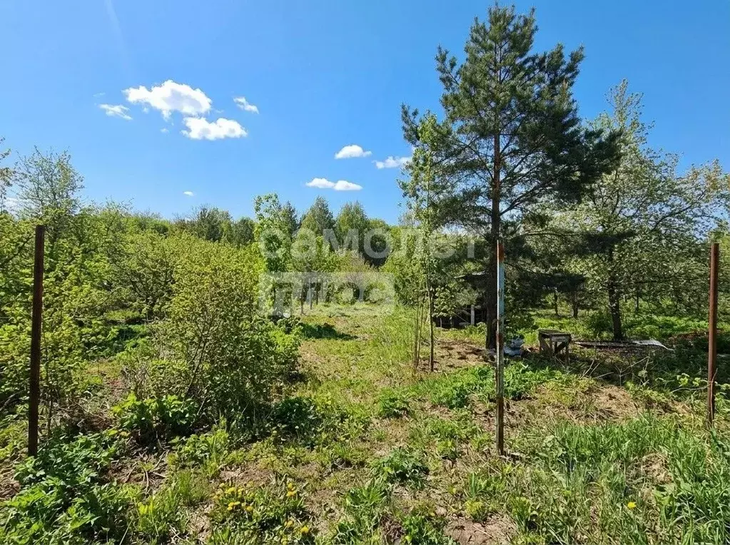 Участок в Башкортостан, Иглинский район, Калтымановский сельсовет, ... - Фото 1