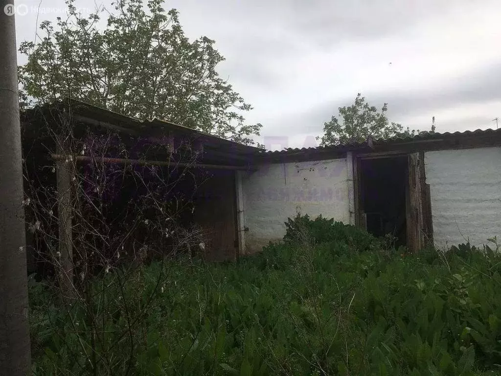 Дом в Батальное, Виноградная улица, 11 (48 м) - Фото 2