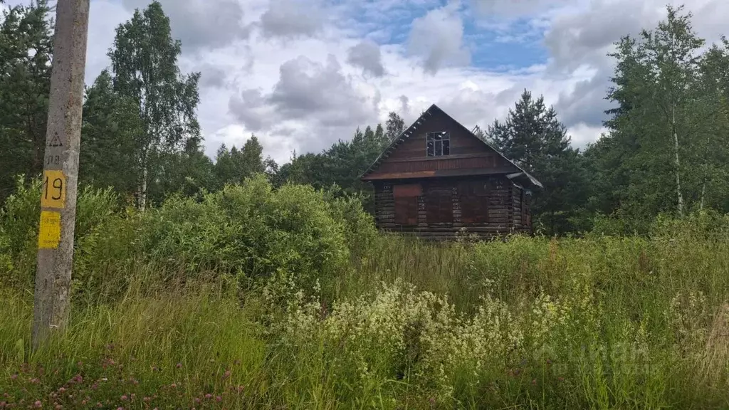 Участок в Новгородская область, Малая Вишера ул. Некрасова, 118 (12.0 ... - Фото 1
