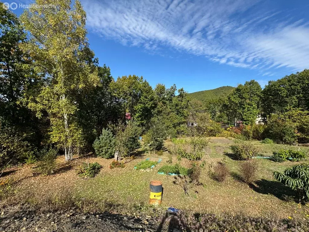 Участок в село Владимиро-Александровское, Вишнёвая улица, 5 (27 м) - Фото 2