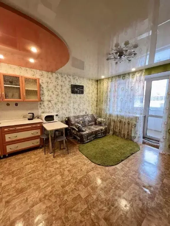 Студия Амурская область, Благовещенск Зейская ул., 323 (27.0 м) - Фото 2