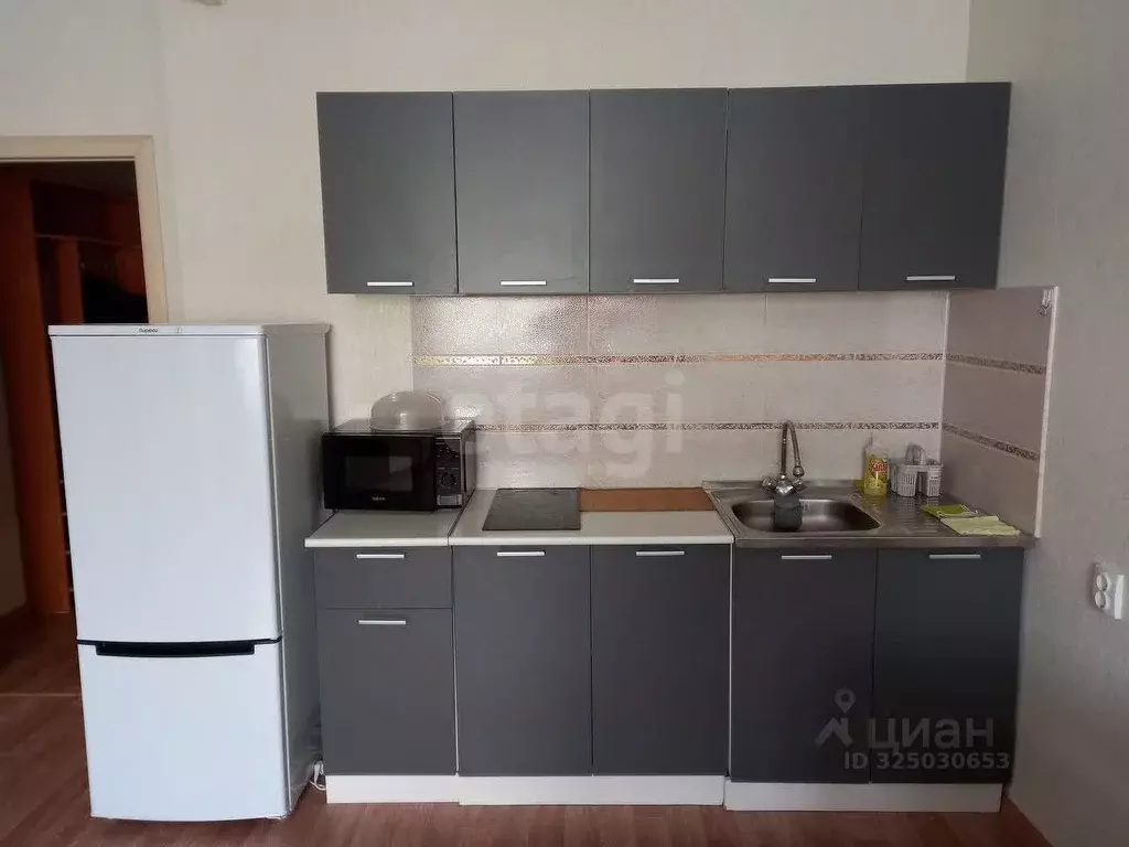 Студия Новосибирская область, Новосибирск ул. Виктора Уса, 4 (33.0 м) - Фото 2