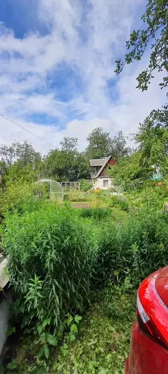Дача 37,7 м на участке 6,6 сот. - Фото 1