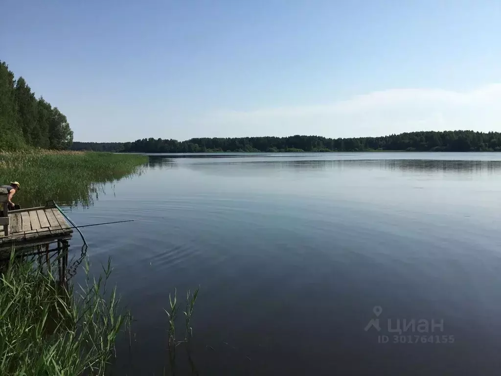 Дом в Нижегородская область, Сокольский городской округ, д. Вязовики ... - Фото 1