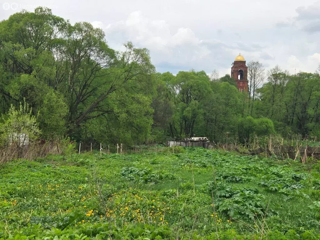 Участок в Наро-Фоминский городской округ, деревня Башкино, Родниковая ... - Фото 1