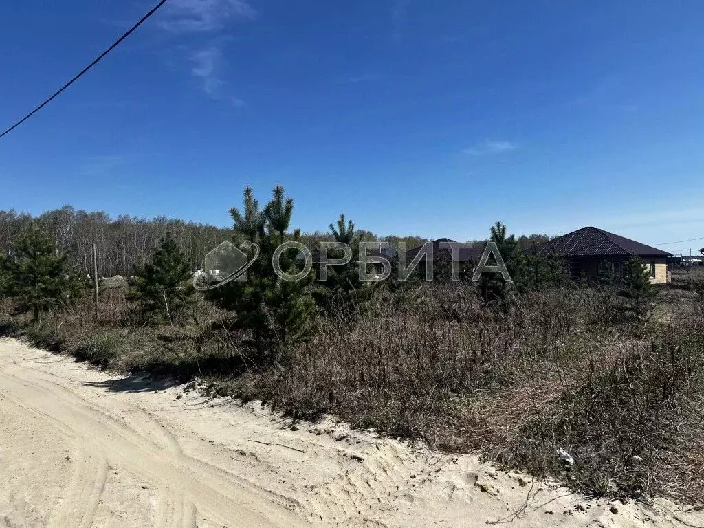 Участок в Тюменская область, Тюменский муниципальный округ, д. Елань ... - Фото 2