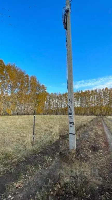 Участок в Омская область, Омский район, с. Усть-Заостровка ул. ... - Фото 1