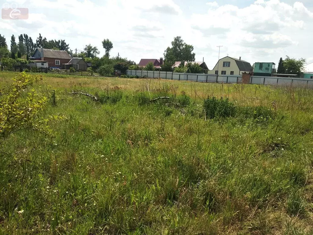 Участок в Воронежская область, село Новая Усмань (13 м) - Фото 1