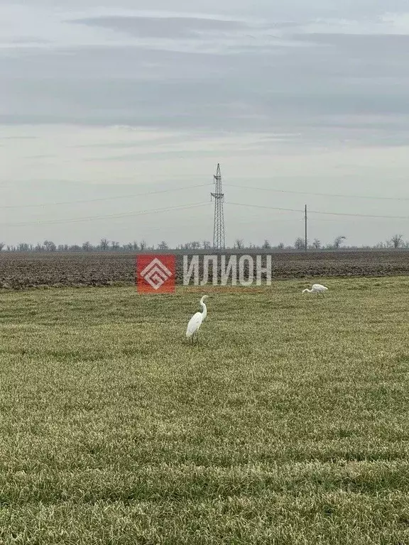 Участок в Крым, Симферопольский район, Николаевка пгт ул. Советская ... - Фото 2