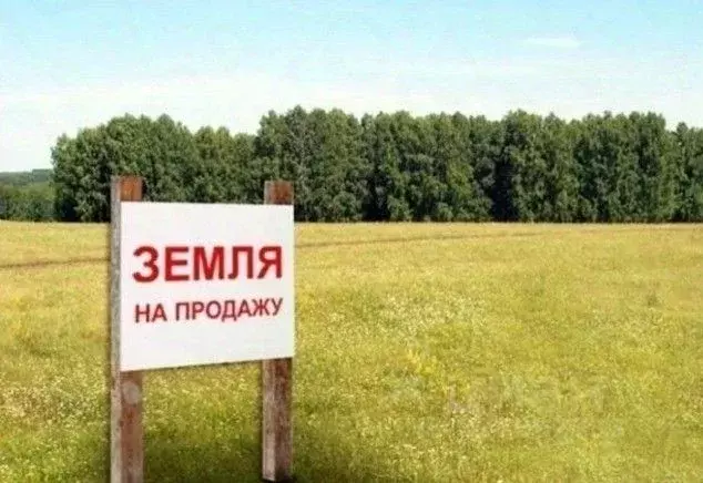 Участок в Тверская область, Вышний Волочек Вышневолоцкая мкр,  (10.5 ... - Фото 2