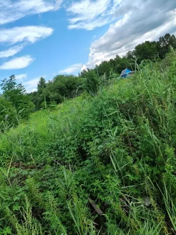 Участок в Хабаровский край, Хабаровский район, Пограничник СДТ 87 (8.8 ... - Фото 1