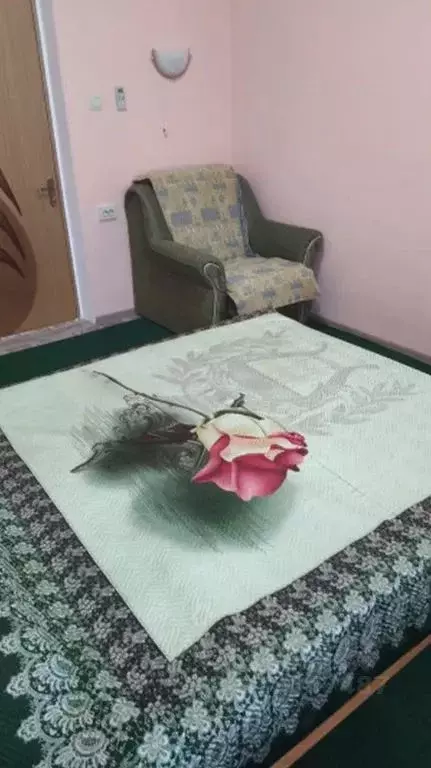 Комната Краснодарский край, Сочи Сочинское ш., 4/1А - Фото 2