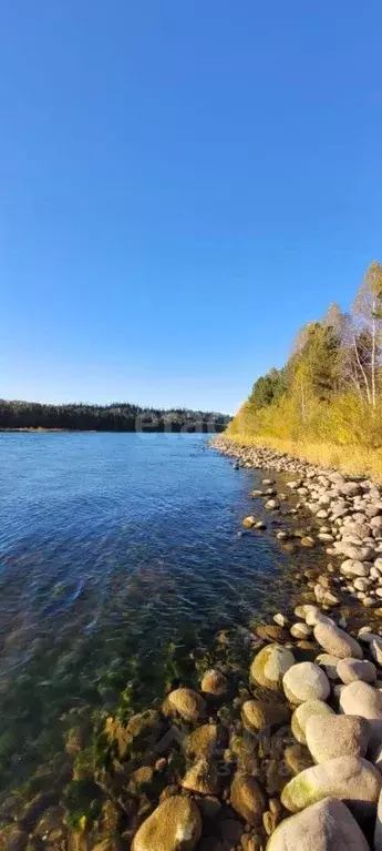 Участок в Алтай, Горно-Алтайск Береговая ул. (13.9 сот.) - Фото 1