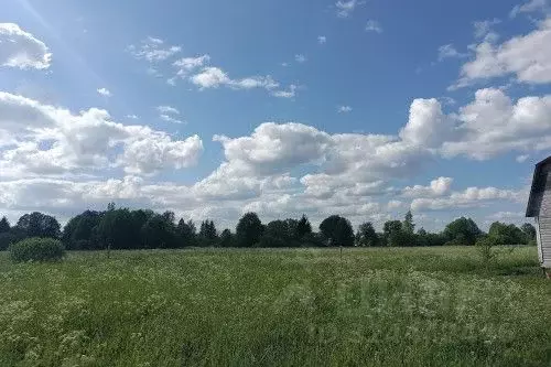 Участок в Новгородская область, Новгородский район, Ермолинское с/пос, ... - Фото 2