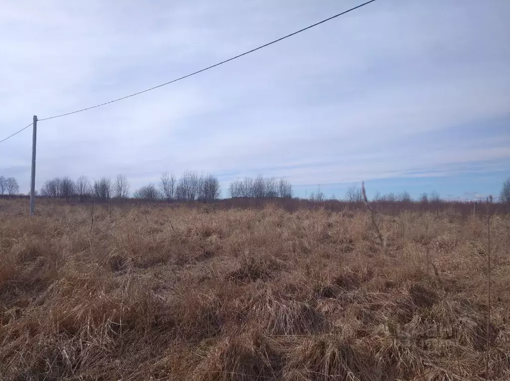 Участок в Новгородская область, Новгородский район, Савинское с/пос, ... - Фото 0