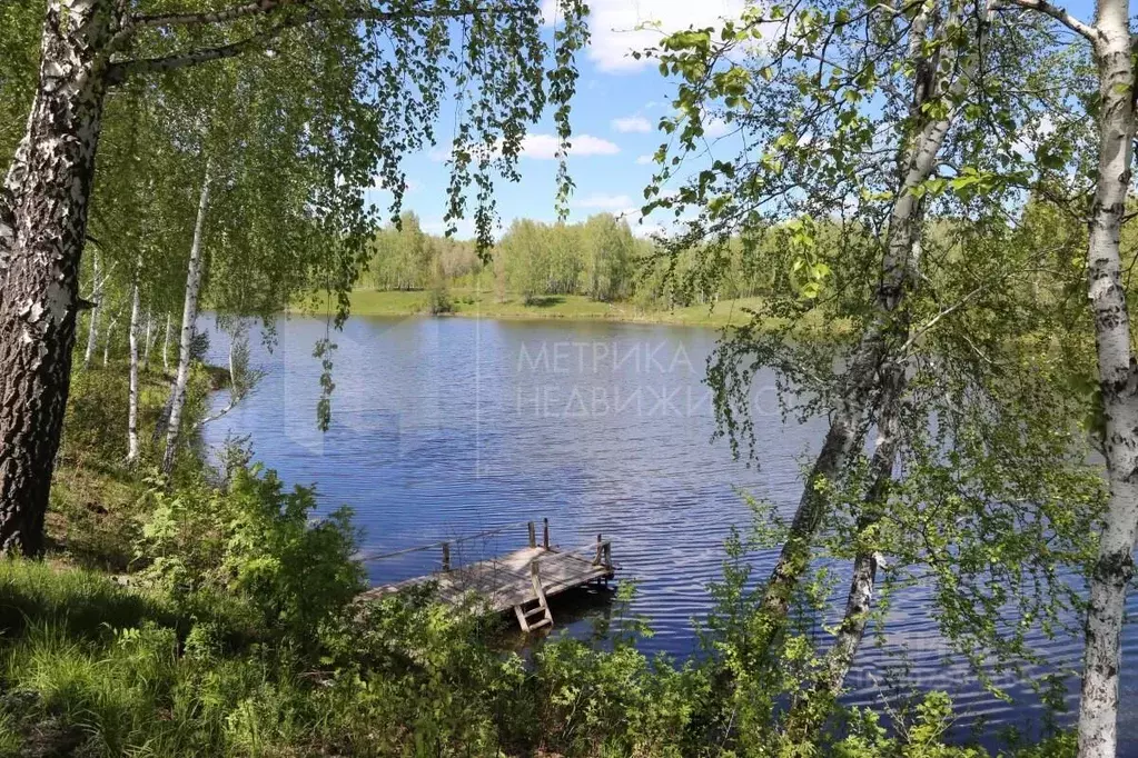 Участок в Тюменская область, Тюменский район, д. Малиновка, Малиновка ... - Фото 0