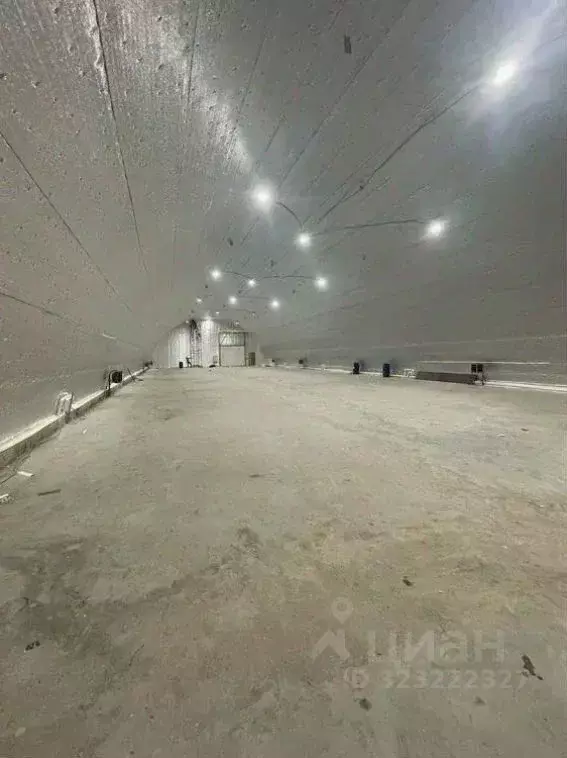 Склад в Московская область, Чехов Венюково мкр, ул. Комсомольская, 20 ... - Фото 2