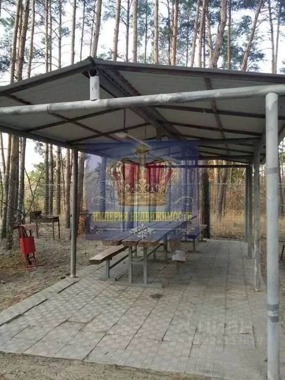 Торговая площадь в Белгородская область, Шебекинский муниципальный ... - Фото 2