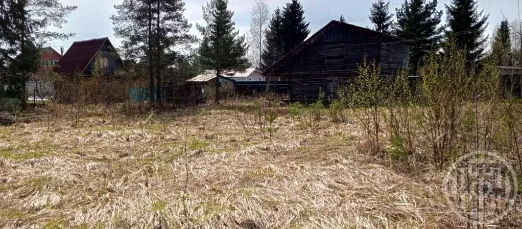 Участок в Ленинградская область, Тосненский район, Форносовское ... - Фото 1