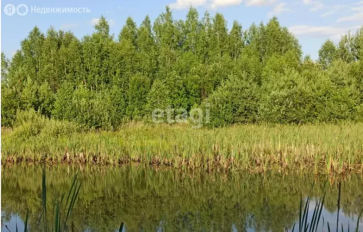 Участок в Нижнеломовский район, СТ Заря (200.6 м) - Фото 1