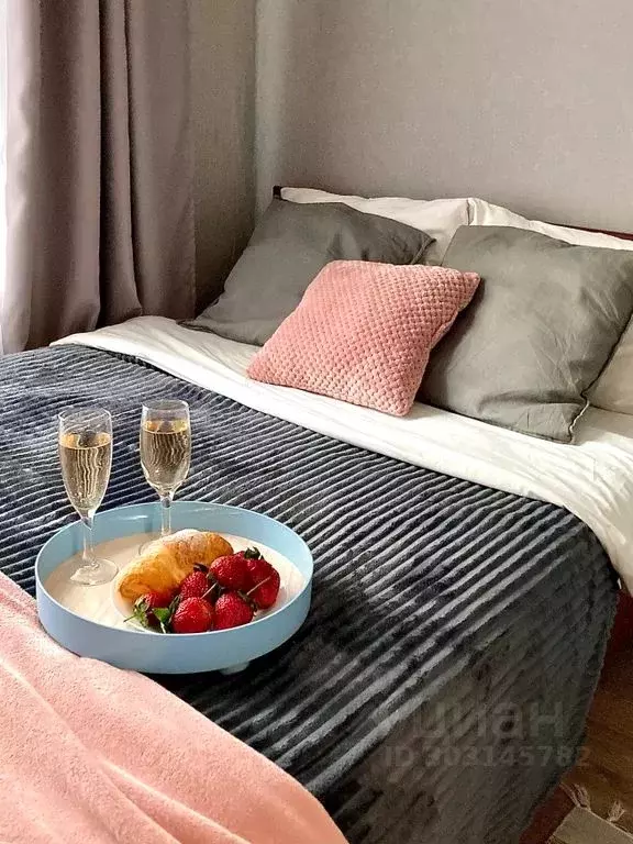 Студия Московская область, Балашиха Железнодорожный мкр, ул. ... - Фото 2