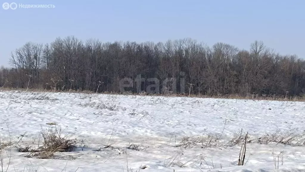 Участок в Тульская область, городской округ Тула, деревня Горюшино, ... - Фото 2