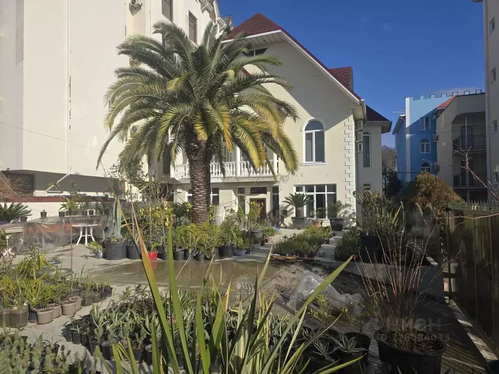 Дом в Краснодарский край, Сочи ул. Просвещения (450 м) - Фото 1