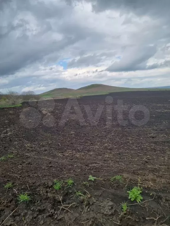 Участок 49 га (СНТ, ДНП) - Фото 1