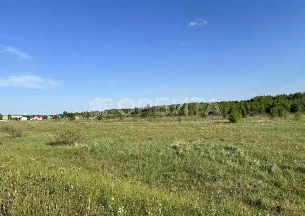 Участок в Тюменская область, Нижнетавдинский муниципальный округ, с. ... - Фото 2