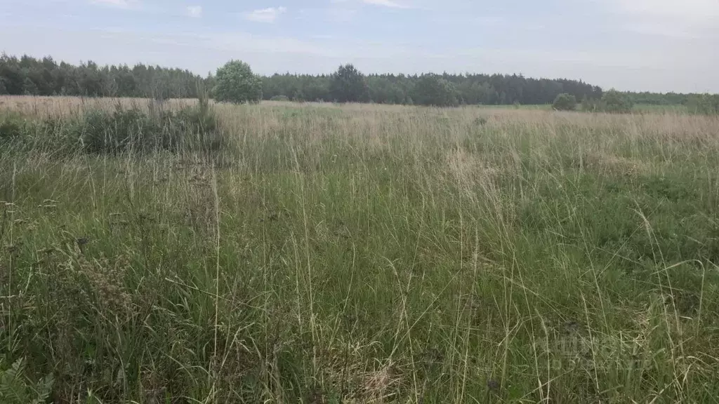 Участок в Московская область, Орехово-Зуевский городской округ, д. ... - Фото 1